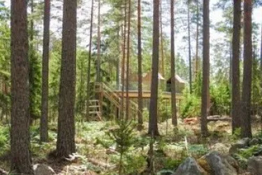 Trädhus av glas i Safariparken 15kvm