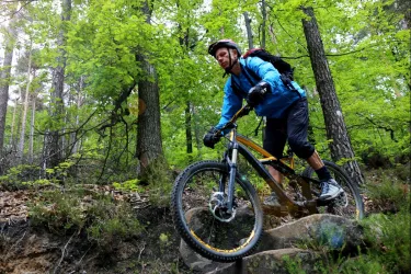 Mountainbike - 1 dag