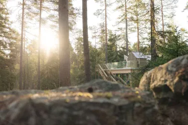 Trädhus av glas i Safariparken 15kvm