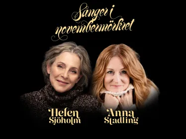 Sånger i novembermörkret