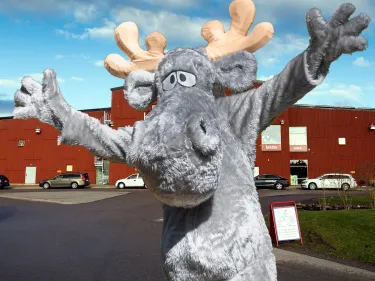 Hälge utanför Kosta Outlet