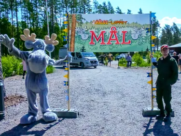 Hälge i mål