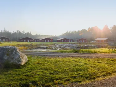 Disig morgon på Kosta Lodge