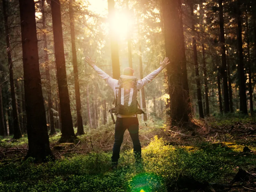 Glad vandrare i skogen