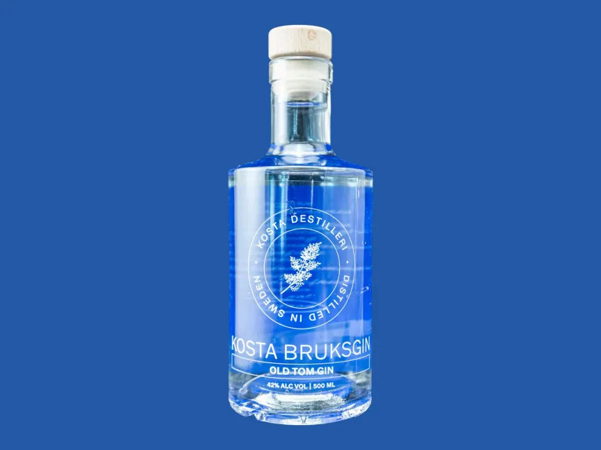 Kosta Bruksgin