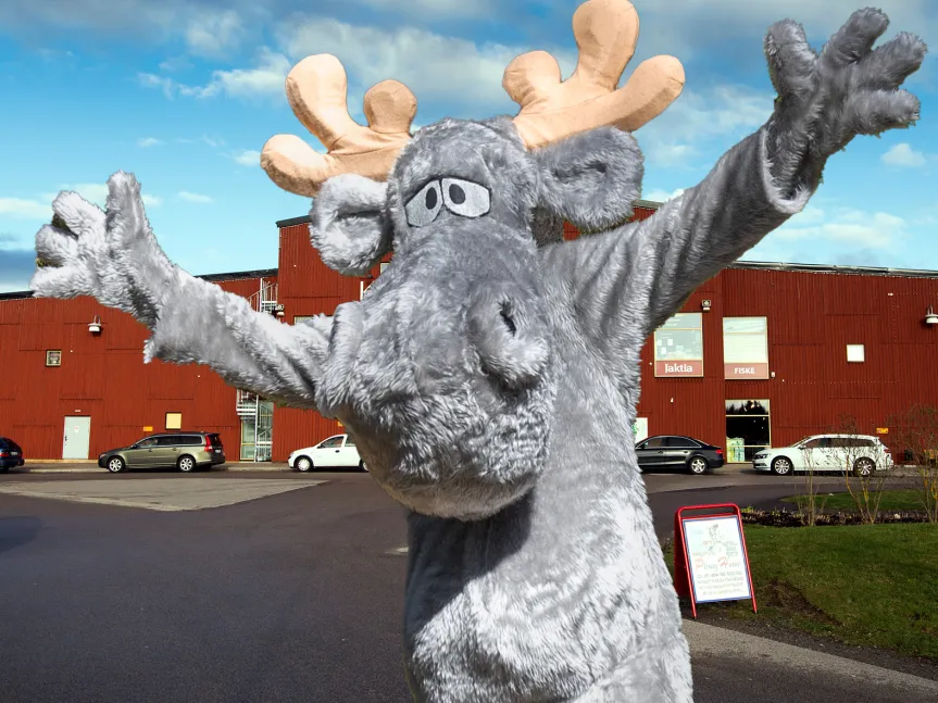 Hälge utanför Kosta Outlet