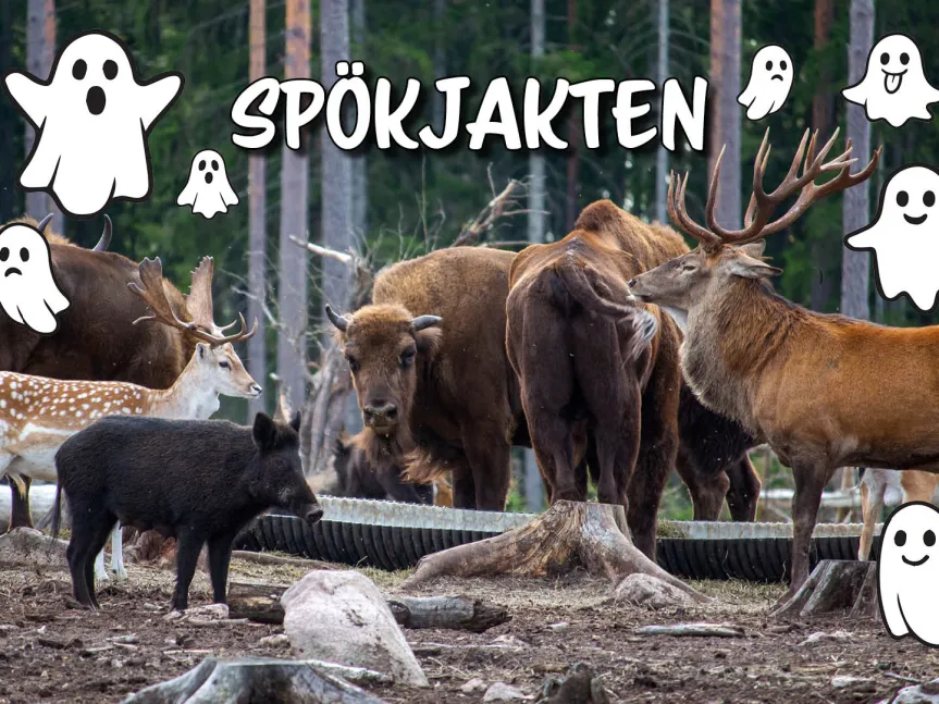 Spökjakt