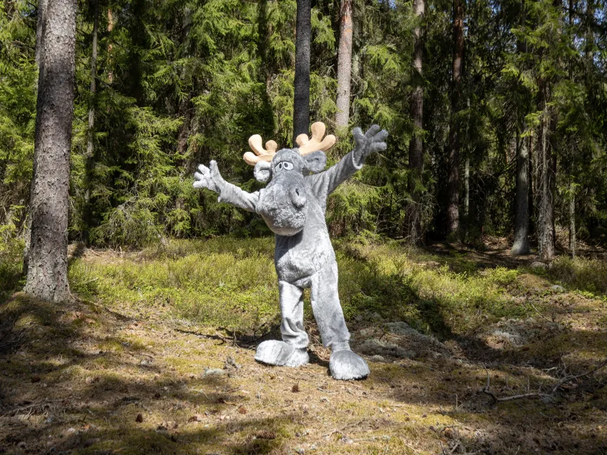 Hälge i skog