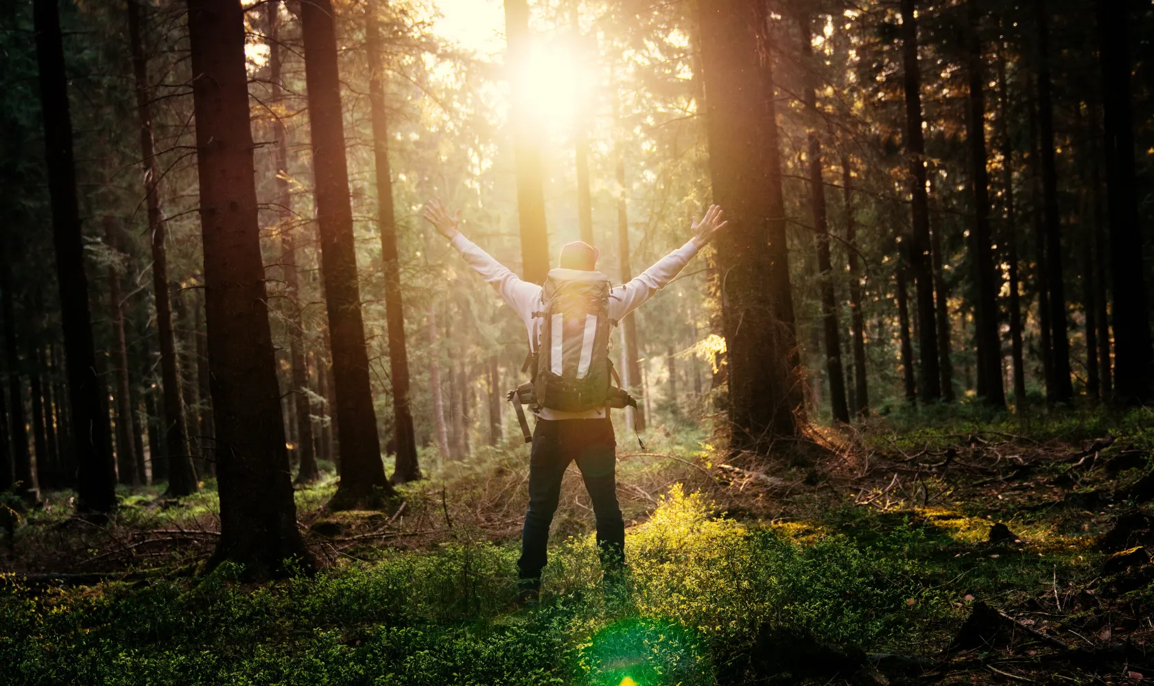 Glad vandrare i skogen