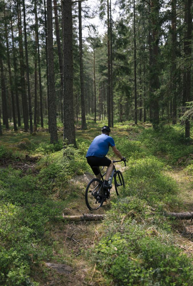 Cykel i skogen