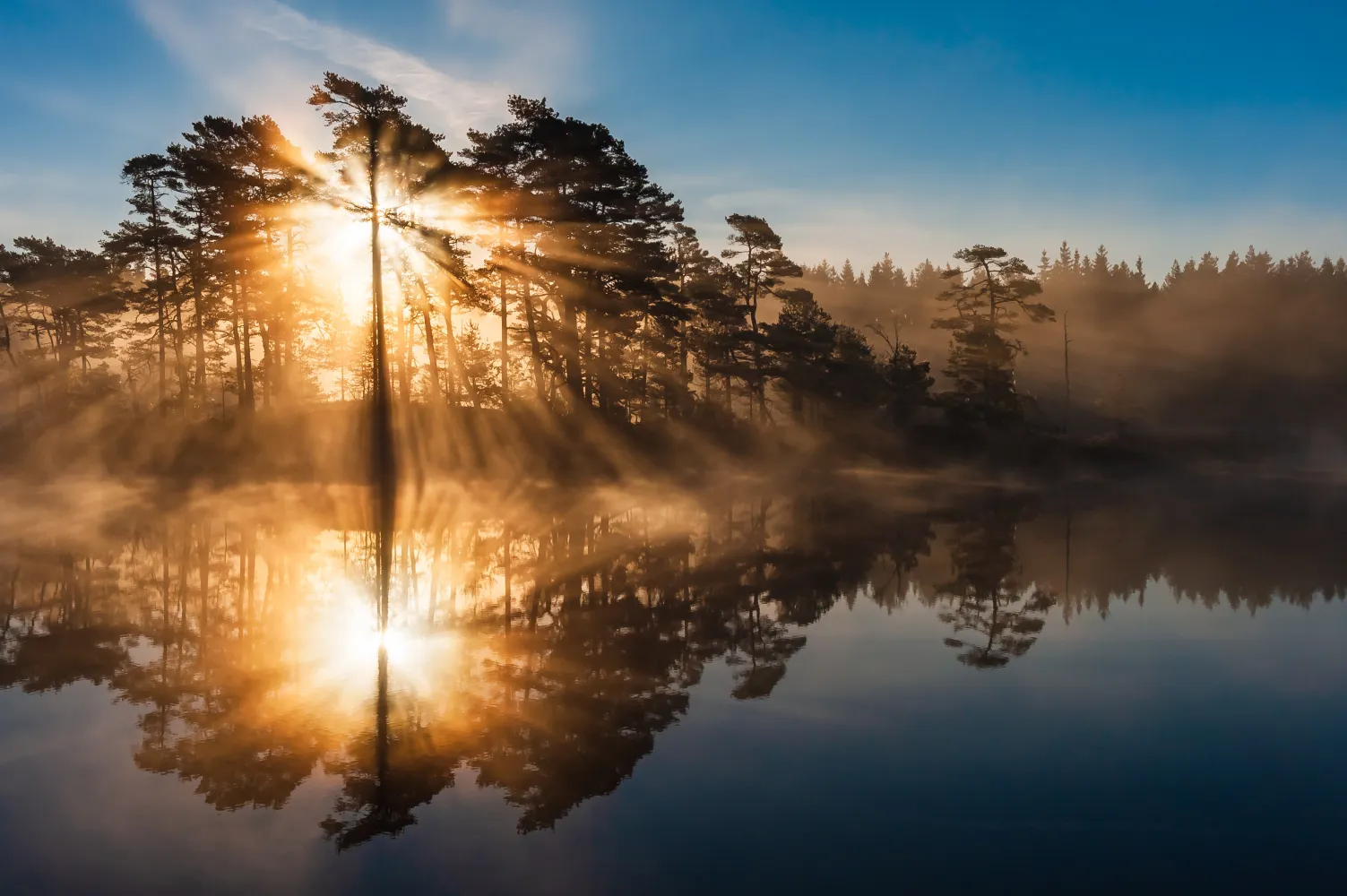 Vacker solnedgång