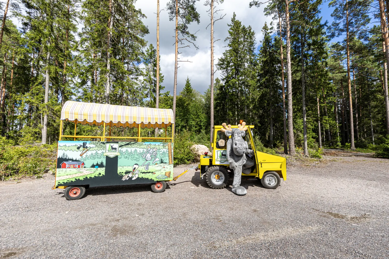 Älgen Hälge bredvid sitt Hälgetåg