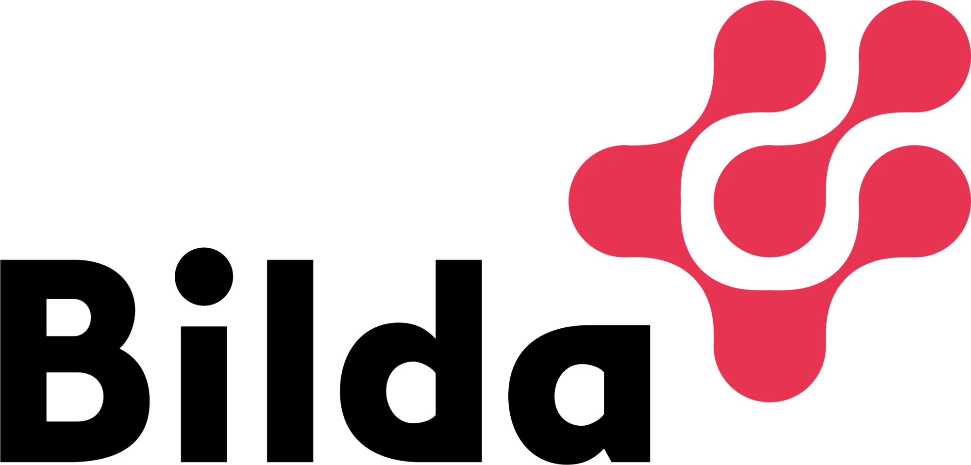 Bilda