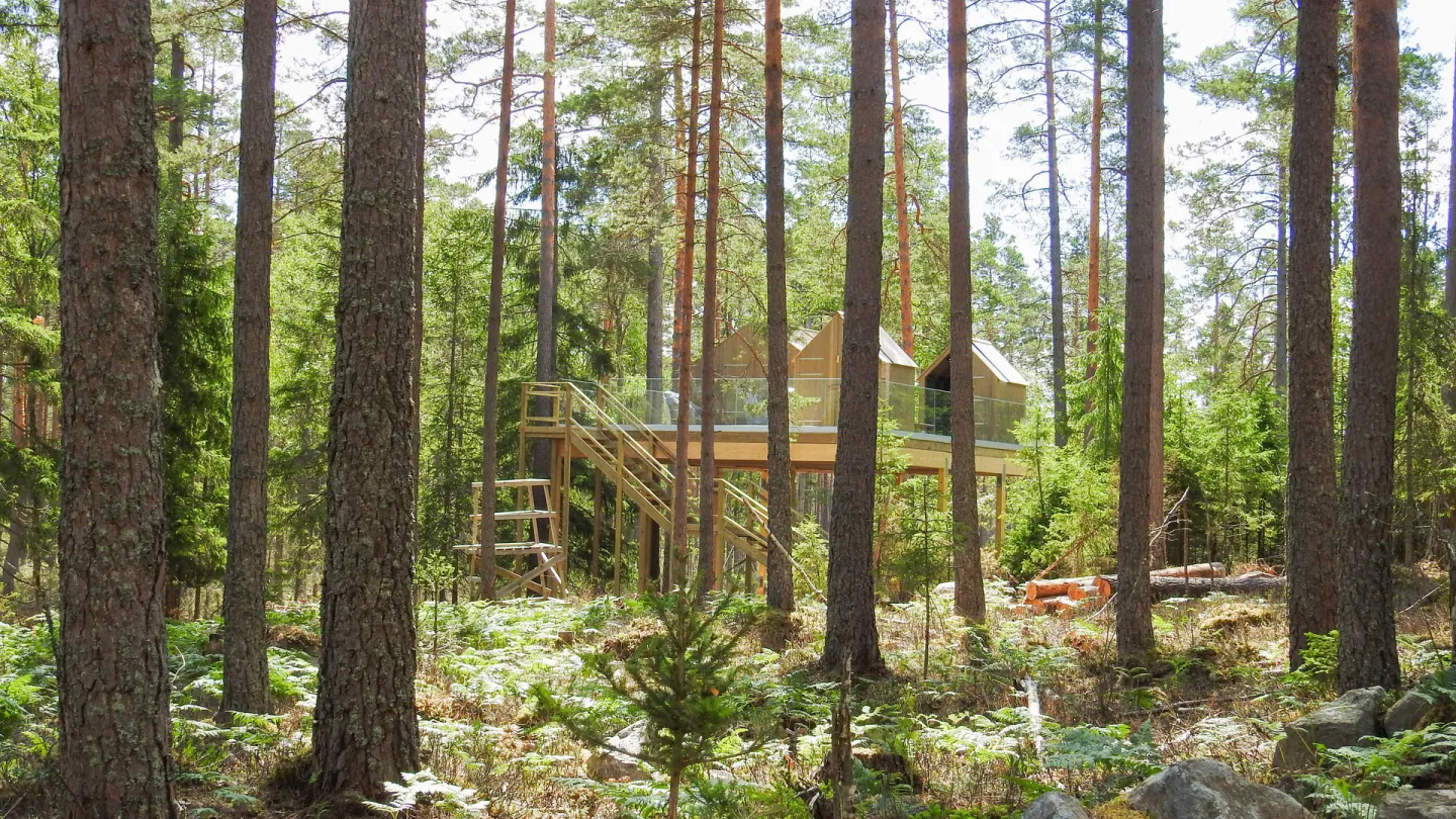 Trädhusen av glas