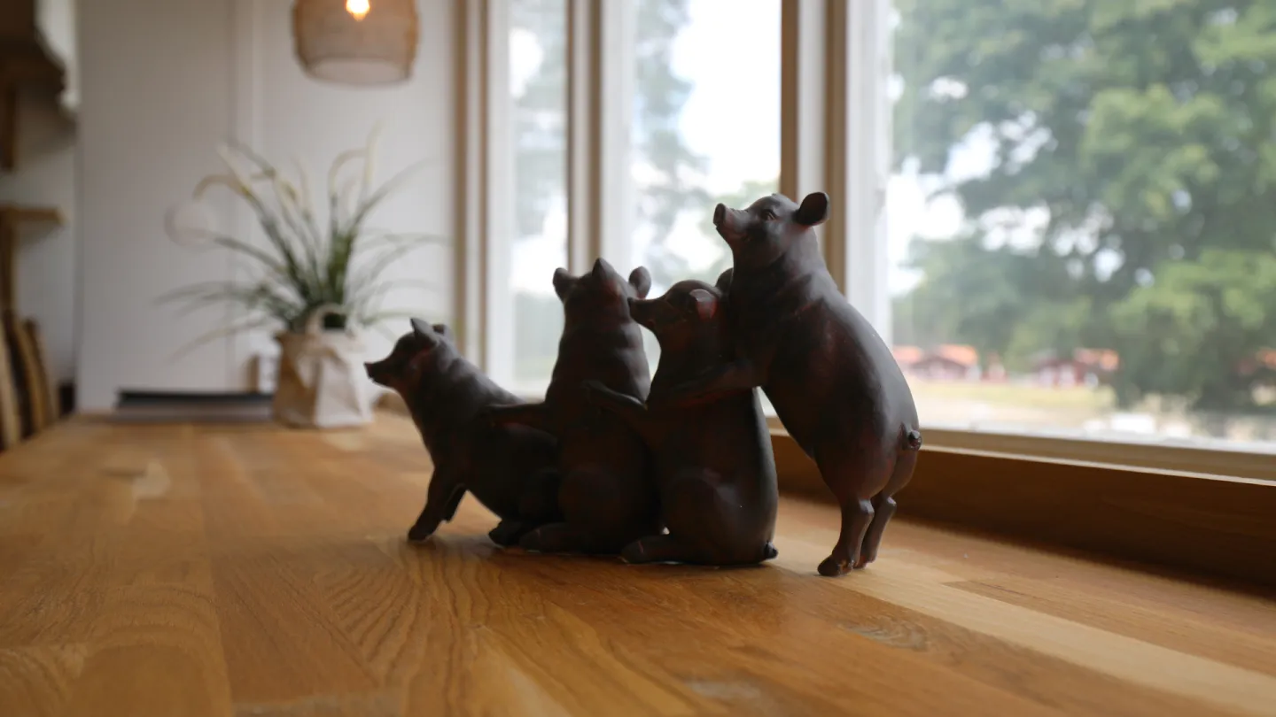 Fönster gemensamt utrymme