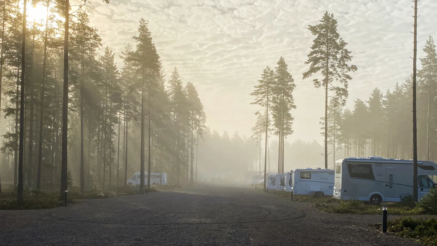 Ställplatsen vid Kosta Safaripark i disig dimma